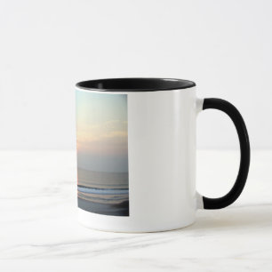100_2580_edited mugg