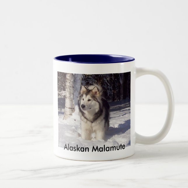100_5815 alaskabo Malamute Två-Tonad Mugg (Höger)