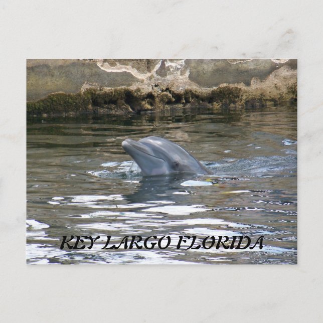 100_8578, NYCKEL LARGO FLORIDA VYKORT (Framsida)