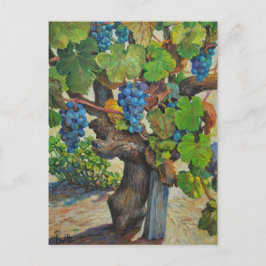 100 års vykort för tillverkare