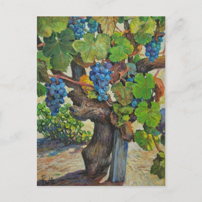 100 års vykort för tillverkare (Framsida)