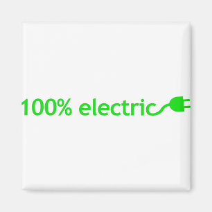 100 % el Fordon Magnet