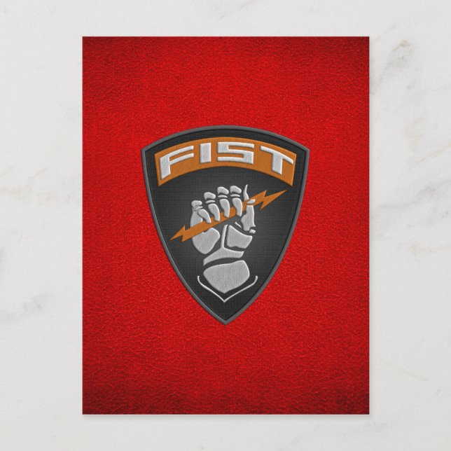 [100] Framåtriktad observatör (FIST) [korrigering] Vykort (Framsida)