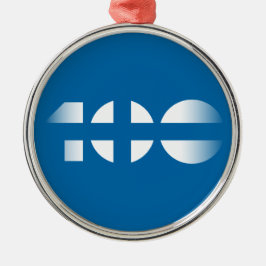100 JULGRANSPRYDNAD METALL