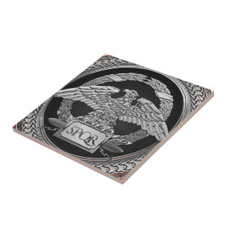 [100] Silver romersk kejsardöme över Medallion Kakelplatta