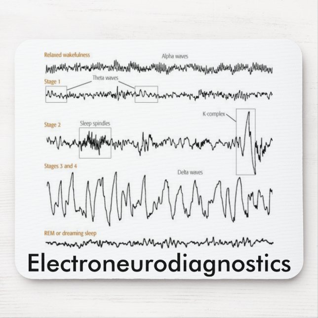 101940 Electroneurodiagnostics Musmatta (Framsidan)