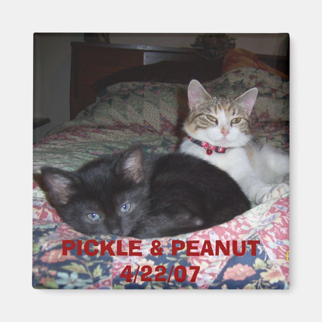 105_1036, PICKLE & PEANUT 4/22/07 MAGNET (Framsidan)