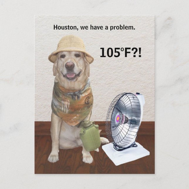 105 F?! VYKORT (Framsida)