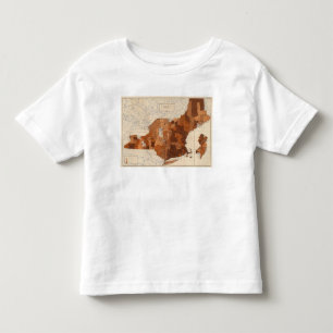 107 influensa NY, NJ, New England T-shirt