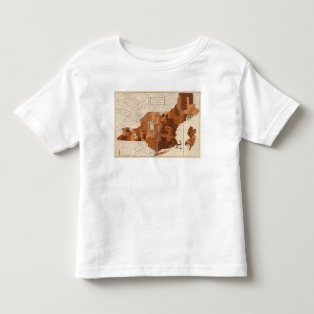 107 influensa NY, NJ, New England T-shirt (Framsida)