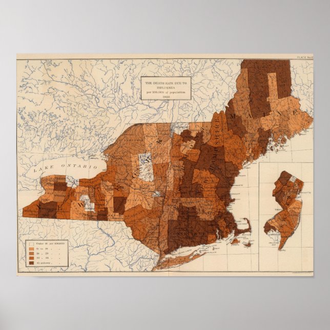 107 Influenza NY, NJ, New England Poster (Framsidan)