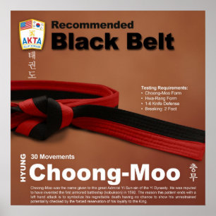 10-11 Rekommenderat Poster av Black Bälte Do-jang