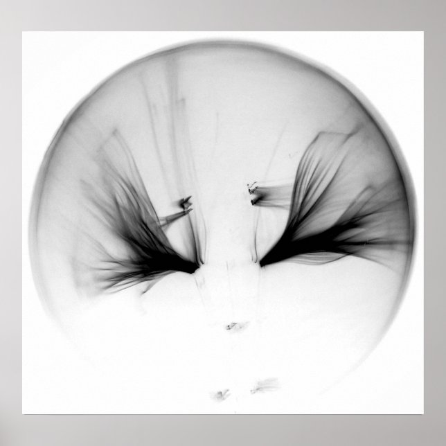 10^23 #1 POSTER (Framsidan)