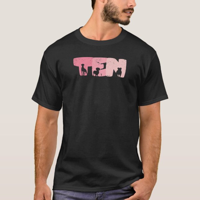 10-årig Hund-daglig flicka 10 B dag 1 T Shirt (Framsida)