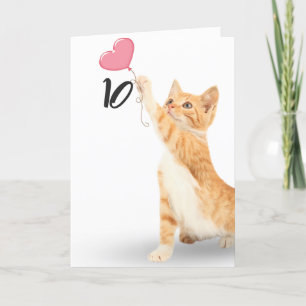 10-årsdagen tabby katt kort