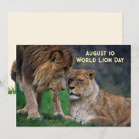 10 aug, Världens lejon dag 5 x 7 kort