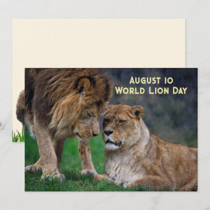 10 aug, Världens lejon dag 5 x 7 kort