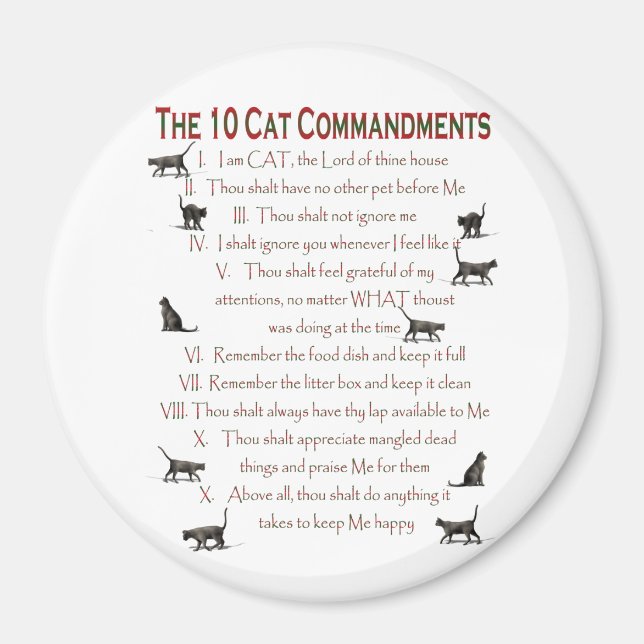 10 CAT-kommandon Magnet (Framsidan)