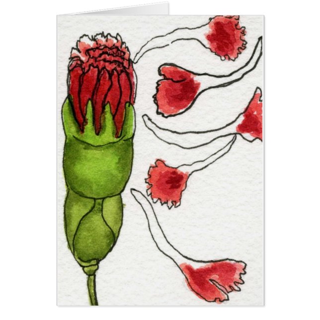 10 HÄLSNINGSKORT (Framsidan)