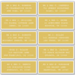 10 Individuell gäst Namn Adress Party Bröllop Klistermärken<br><div class="desc">De 10 enskilda Guest Namn Adress Party White Script Stickers har 10 klistermärken med din individuella gäst namn och adress på varje dekal i vitt skript på metallisk bakgrund i guld. Även perfekt för jul och Helgdagskort, födelsedagsfest inbjudan, bröllopsinbjudningar, babyduschar, möhippor, tack för kort och kontorsutskick. Redigera bara texten i...</div>