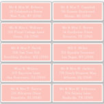 10 Individuell gäst Namn Adress Party Bröllop Klistermärken<br><div class="desc">10 enskilda Guest Namn Adress Party Bröllop Poppy Rosa Skript Stickers har 10 klistermärken med din enskilda gäst namn och adress på varje dekal i vitt på Vår-vår. Även perfekt för jul och Helgdagskort, partiinbjudningar, tack för kort och kontorsutskick. Redigera bara texten i textrutorna. Visa Evco Studio för andra färger...</div>