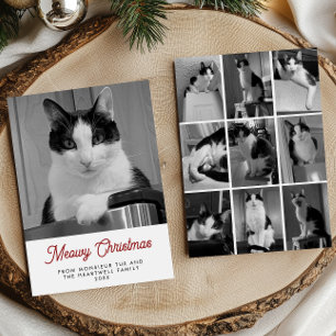 10 kattbilder Meowy jul kul Julkort