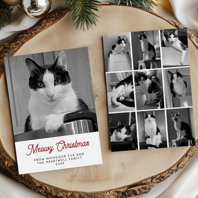 10 kattbilder Meowy jul kul Julkort (Skapare uppladdad)