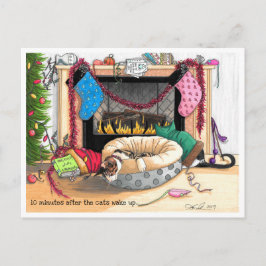 10 minuter efter katternas uppvaknande vykort