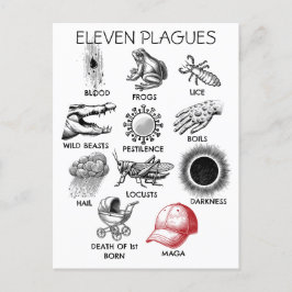 10 Plagues Humor Vykort