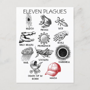 10 Plagues Humor Vykort