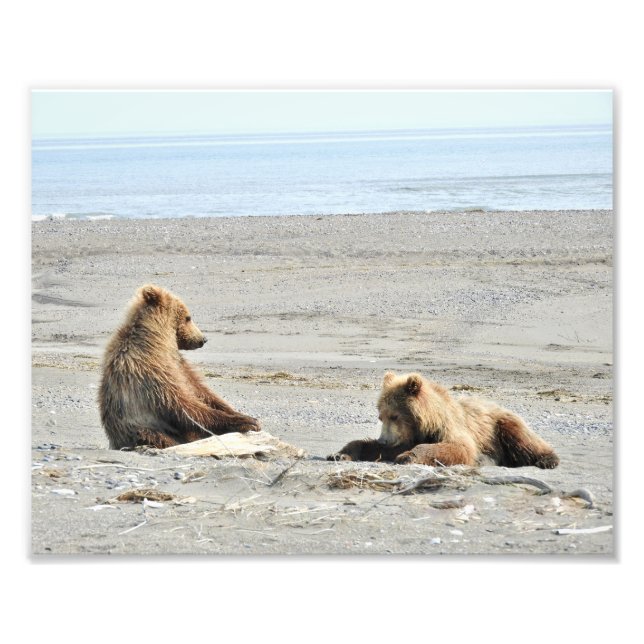 10 tum x 8 tum, Kodak Professionell Photo Papper ( Fototryck (Framsidan)