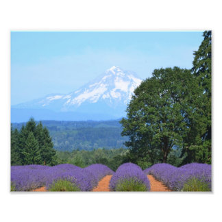 10 tum x 8 tum, Kodak Professionell Photo Papper ( Fototryck