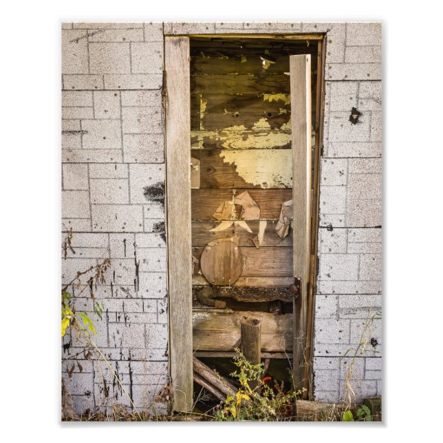 10 tum x 8 tum, Kodak Professionell Photo Papper ( Fototryck (Framsidan)