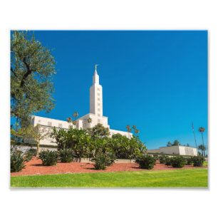 10" x 8" yrkesmässigt tempel för foto LDS Los