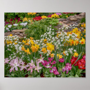 10x8 Färgstark Vår blommor i fullt-bloom Poster