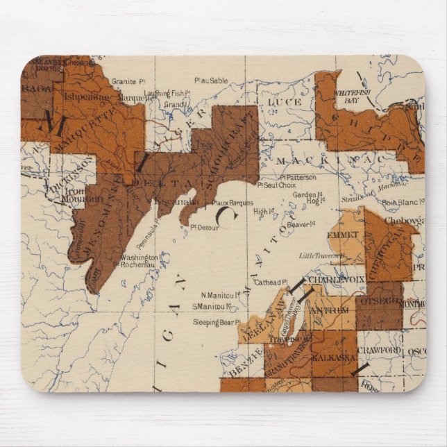 110 Tyfoidfeber Michigan Musmatta (Framsidan)
