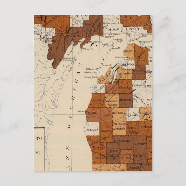 110 Tyfoidfeber Michigan Vykort (Framsida)