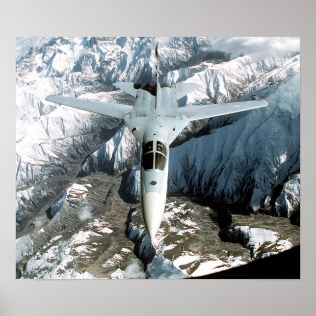 111 Aardvark Poster (Framsidan)