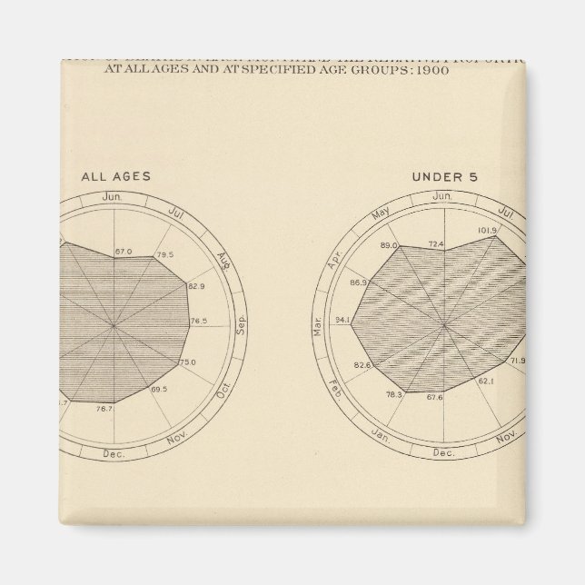 113 Dödsfall per månad 1900 Magnet (Framsidan)