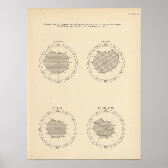 113 Dödsfall per månad 1900 Poster (Framsidan)