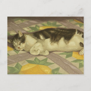 1149 Katt på kort vykort