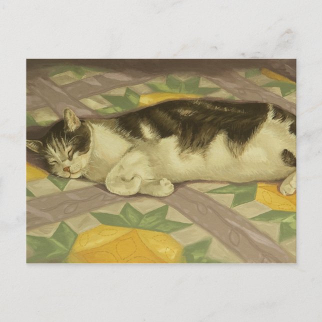 1149 Katt på kort vykort (Framsida)