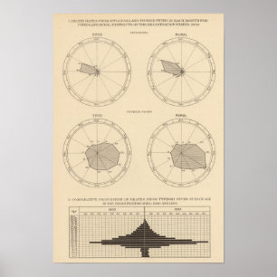 117 Dödsinfluensa, tyfoidfeber 1900, 1890 Poster