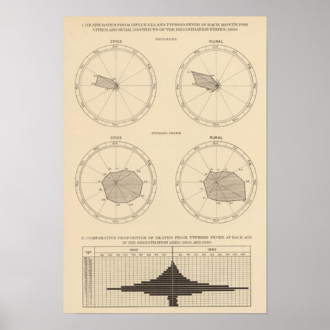 117 Dödsinfluensa, tyfoidfeber 1900, 1890 Poster (Framsidan)