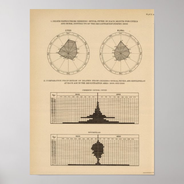 118 Dödlig cerebrospinalfeber Poster (Framsidan)