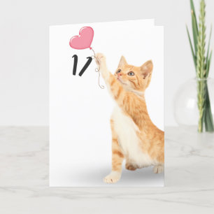 11-årsdagen tabby katt kort