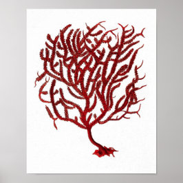 11 Beach Wall Art-utskrift Poster