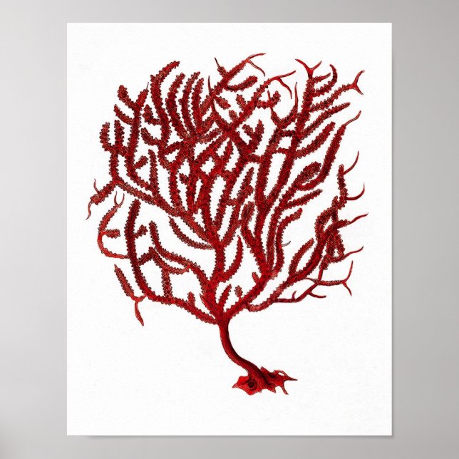 11 Beach Wall Art-utskrift Poster (Framsidan)