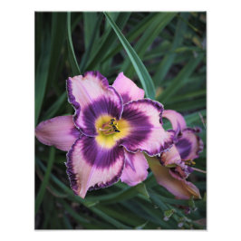 11 tum x 14 tum daglig fototryck