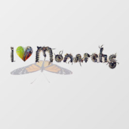 11-tums x 5-tums fönsterklinga